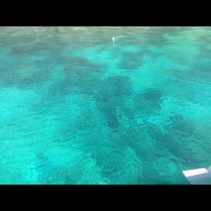 Meet your Posher, Will